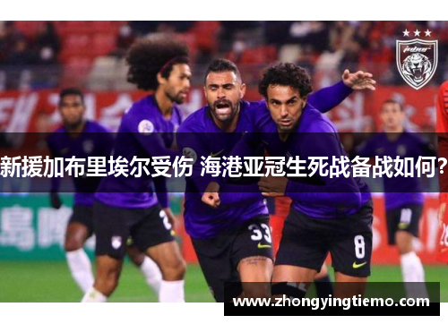 新援加布里埃尔受伤 海港亚冠生死战备战如何？