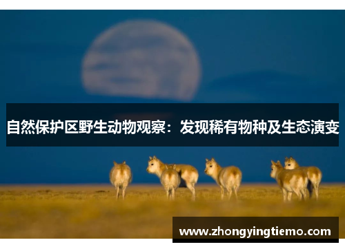 自然保护区野生动物观察：发现稀有物种及生态演变